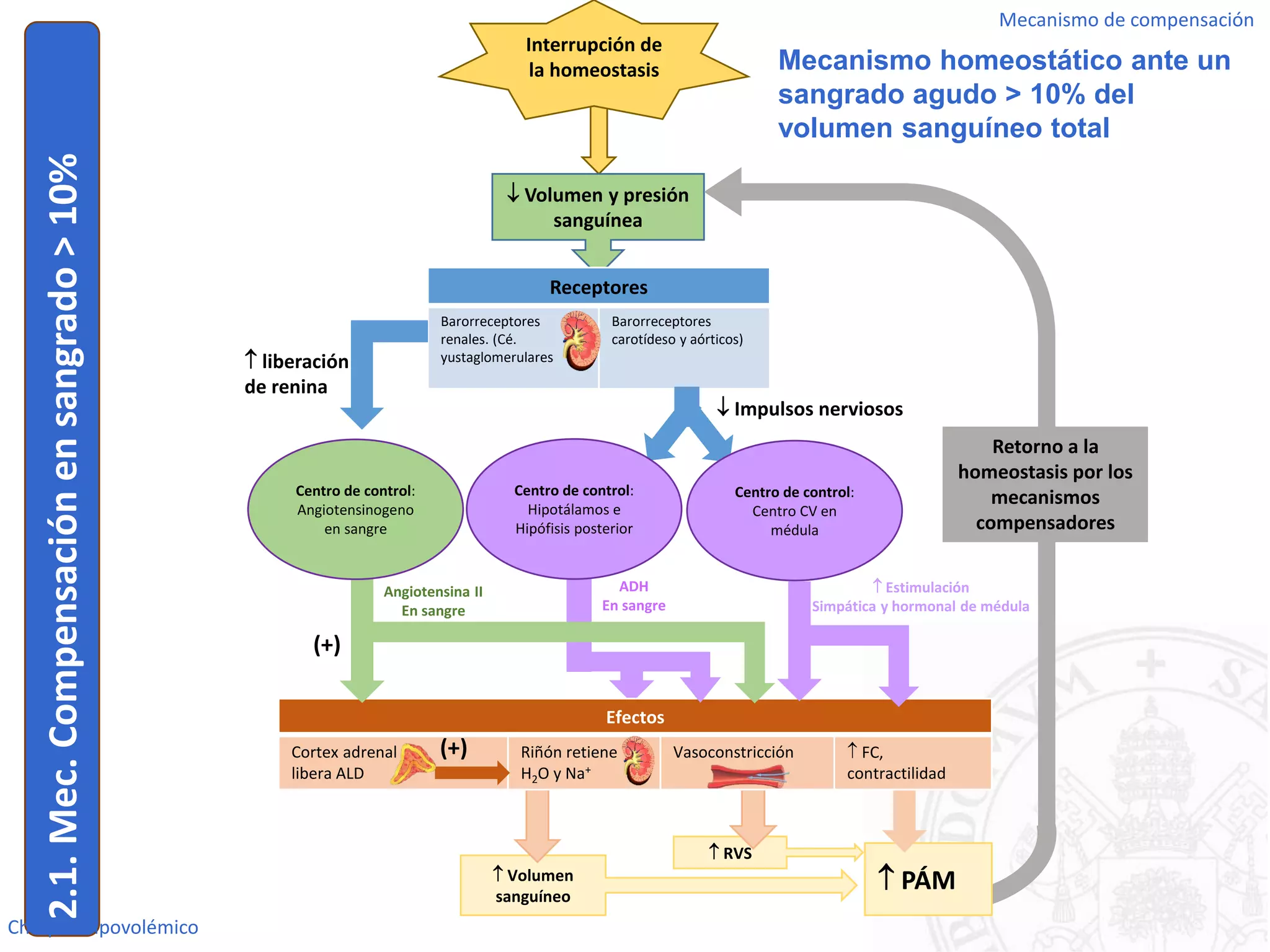 Iv.6. shock hipovolemico | PDF