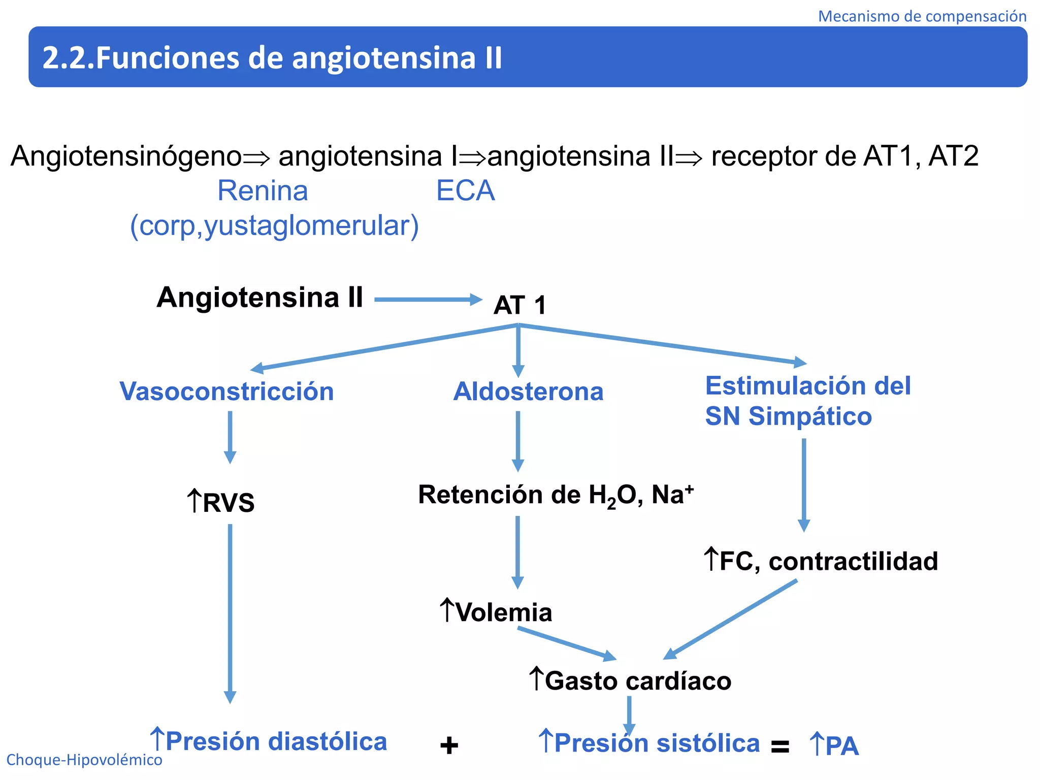 Iv.6. shock hipovolemico | PDF