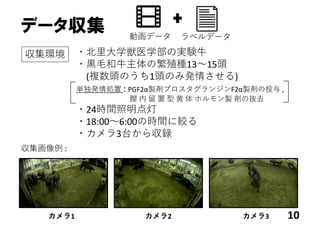 ・北⾥⼤学獣医学部の実験⽜
・⿊⽑和⽜主体の繁殖種13〜15頭
(複数頭のうち1頭のみ発情させる)
単独発情処置 : PGF2α製剤プロスタグランジンF2α製剤の投与 , 
膣 内 留 置 型 ⻩ 体 ホルモン製 剤の抜去
・24時間照明点灯
・18:00〜6:00の時間に絞る
・カメラ3台から収録
データ収集
10カメラ1 カメラ2 カメラ3
収集画像例 : 
動画データ ラベルデータ
収集環境
 