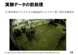 実験データの前処理
14
① 物体検出アルゴリズムYOLOv3[1]により⽜⼀頭⼀頭を⾃動検出
[1] J. Redmon and A. Farhadi, “YOLOv3: An Incremental Improvement,”arXiv:1804.02767, 2018.
 