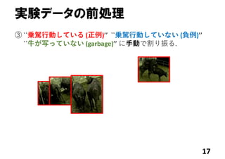 実験データの前処理
17
③ ``乗駕⾏動している (正例)’’  ``乗駕⾏動していない (負例)’’
``⽜が写っていない (garbage)’’ に⼿動で割り振る.
 
