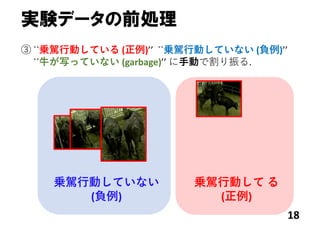乗駕⾏動していない
(負例)
乗駕⾏動して る
(正例)
実験データの前処理
18
③ ``乗駕⾏動している (正例)’’  ``乗駕⾏動していない (負例)’’
``⽜が写っていない (garbage)’’ に⼿動で割り振る.
 