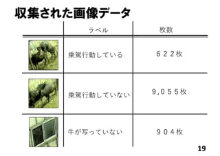 収集された画像データ
19
乗駕⾏動している
乗駕⾏動していない
⽜が写っていない
６２２枚
９,０５５枚
９０４枚
ラベル 枚数
 