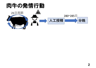 2
肉牛の発情行動
発情⾏動
12時間
21⽇周期
⼈⼯授精 分娩
280~285⽇
 