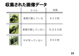 収集された画像データ
23
乗駕⾏動している
乗駕⾏動していない
⽜が写っていない
９,０５５枚
９０４枚
ラベル 枚数
６２２枚
 