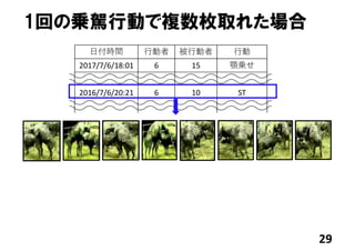 29
1回の乗駕行動で複数枚取れた場合
⽇付時間 ⾏動者 被⾏動者 ⾏動
2017/7/6/18:01 6 15 顎乗せ
2016/7/6/20:21 6 10 ST
 