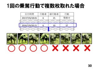 30
1回の乗駕行動で複数枚取れた場合
⽇付時間 ⾏動者 被⾏動者 ⾏動
2017/7/6/18:01 6 15 顎乗せ
2016/7/6/20:21 6 10 ST
 