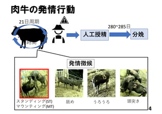 4
肉牛の発情行動
発情⾏動
12時間
21⽇周期
⼈⼯授精 分娩
280~285⽇
スタンディング(ST)
マウンティング(MT)
舐め うろうろ 頭突き
発情徴候
 