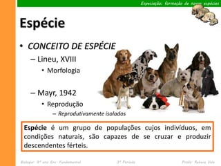 Especiação: formação de novas espécies




Espécie
• CONCEITO DE ESPÉCIE
     – Lineu, XVIII
           • Morfologia


     – Mayr, 1942
           • Reprodução
                 – Reprodutivamente isolados

  Espécie é um grupo de populações cujos indivíduos, em
  condições naturais, são capazes de se cruzar e produzir
  descendentes férteis.

Biologia– 9º ano Ens. Fundamental       3º Período                       Profa. Rebeca Vale
 