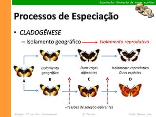 Especiação: formação de novas espécies




Processos de Especiação
• CLADOGÊNESE
     – Isolamento geográfico                               Isolamento reprodutivo




                    Isolamento               Duas raças            Isolamento reprodutivo
                    geográfico               diferentes                 Duas espécies

      A                   B                       C                            D




                                    Pressões de seleção diferentes
Biologia– 9º ano Ens. Fundamental             3º Período                       Profa. Rebeca Vale
 