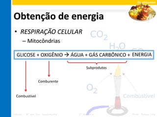Os alimentos




Obtenção de energia
 • RESPIRAÇÃO CELULAR
       – Mitocôndrias

  GLICOSE + OXIGÊNIO  ÁGUA + GÁS CARBÔNICO + ENERGIA
                                              ENERGIA

                                          Subprodutos


                   Comburente


  Combustível



Ciências – 8º ano Ens. Fundamental   2º Bimestre        Profa. Rebeca Vale
 