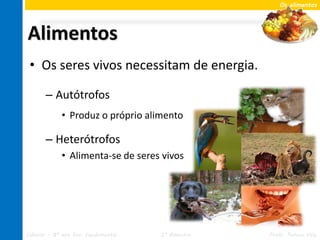Os alimentos




Alimentos
 • Os seres vivos necessitam de energia.

       – Autótrofos
             • Produz o próprio alimento

       – Heterótrofos
             • Alimenta-se de seres vivos




Ciências – 8º ano Ens. Fundamental   2º Bimestre   Profa. Rebeca Vale
 