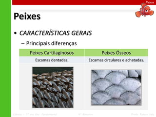 Peixes




Peixes
• CARACTERÍSTICAS GERAIS
      ─ Principais diferenças
             Peixes Cartilaginosos                 Peixes Ósseos
                 Escamas dentadas.          Escamas circulares e achatadas.




Ciências – 7º ano Ens. Fundamental   4º Bimestre                   Profa. Rebeca Vale
 