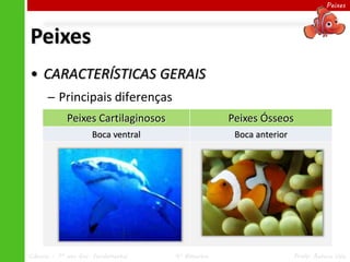 Peixes




Peixes
• CARACTERÍSTICAS GERAIS
      ─ Principais diferenças
             Peixes Cartilaginosos                 Peixes Ósseos
                     Boca ventral                   Boca anterior




Ciências – 7º ano Ens. Fundamental   4º Bimestre                    Profa. Rebeca Vale
 