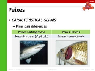 Peixes




Peixes
• CARACTERÍSTICAS GERAIS
      ─ Principais diferenças
             Peixes Cartilaginosos                     Peixes Ósseos
         Fendas branquiais (s/opérculo)             Brânquias com opérculo




Ciências – 7º ano Ens. Fundamental    4º Bimestre                      Profa. Rebeca Vale
 