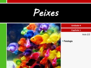 Peixes
                   Unidade 4

                   Capítulo 1
                                Aula 2/2

          Fisiologia
 
