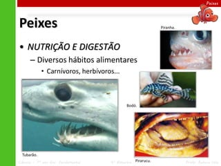 Peixes




Peixes                                                         Piranha.



• NUTRIÇÃO E DIGESTÃO
      – Diversos hábitos alimentares
             • Carnívoros, herbívoros...



                                             Bodó.




  Tubarão.
Ciências – 7º ano Ens. Fundamental   4º Bimestre   Pirarucu.              Profa. Rebeca Vale
 