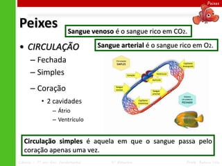 Peixes




Peixes                     Sangue venoso é o sangue rico em CO2.

• CIRCULAÇÃO                         Sangue arterial é o sangue rico em O2.

      – Fechada
      – Simples
      – Coração
            • 2 cavidades
                  – Átrio
                  – Ventrículo


   Circulação simples é aquela em que o sangue passa pelo
   coração apenas uma vez.
Ciências – 7º ano Ens. Fundamental       4º Bimestre              Profa. Rebeca Vale
 
