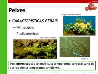 Peixes




Peixes                                                         Dragão-marinho-arbusto.


• CARACTERÍSTICAS GERAIS
      ─ Mimetismo
      ─ Pecilotérmicos
                                     Peixe flauta Alerquin.




                                                                                         Linguado.

  Pecilotérmicos são animais cuja temperatura corporal varia de
  acordo com a temperatura ambiente.
Ciências – 7º ano Ens. Fundamental               4º Bimestre                             Profa. Rebeca Vale
 