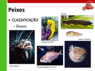 Peixes




Peixes                                                           Sarapó


• CLASSIFICAÇÃO
      ─ Ósseos


                                                                          Baiacu-espinho.
                                          Cavalo-marinho




  Peixe abissal
                                     Besugo (Pagellus acarne).
Ciências – 7º ano Ens. Fundamental                4º Bimestre              Profa. Rebeca Vale
 