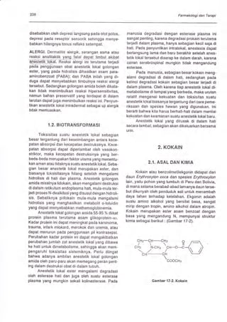 238 Farmakologi dan Terapi
disebabkan oleh depresi langsung pada otol polos,
depresi pada reseptor sensorik sehingga menye-
babkan hilangnya tonus refleks setempat.
ALERGI. Dermatitis alergik, serangan asma atau
199$l3l9lll3!!!-yeulsFl-€peuiluuJ-clDaq
anestetik-lokal, Reaksi alergi ini terutama terjadi
ffiaTenggunaan obat anestelik lokal golongan
ester, yang pada hidrolisis dihasilkan asam para-
aminobenzoat (PABA); dan PABA inilah yang di-
duga dapat menyebabkan limbulnya reaksi alergi
tersebut. Sedangkan golongan amida boleh dikata-
kan tidak menimbulkan reaksi hipersensitivitas,
namun bahan preservatil yang terdapat di dalam
larutan dapat juga menimbulkan reaksi ini. Penyun-
tikan anestetik lokal intradermal sebagai uji alerglk
tidak memuaskan.
1.2. BIOTRANSFORMAST
Toksisitas suatu anestetik lokal sebagian
besar tergantung dari keseimbangan antara kece-
patan absorpsi dan kecepatan destruksinya. Kece-
patan absorpsi dapat diperlambat oleh vasokon-
striktor, maka kecepatan destruksinya yang ber-
beda-beda merupakan laktor utama yang menenlu-
kan aman atau tidaknya sualu anesletik lokal. Seba-
gian besar anestetik lokal merupakan ester, dan
biasanya toksisitasnya hilang setelah mengalami
hidrolisis di hati dan plasma. Anestetik golongan
amida misalnya lidokain, akan mengalami destruksi
di dalam retikulum endoplasma hati, mula-mula ter-
jadi proses N-dealkilasi yang disusul dengan hidroli-
sis. Sebaliknya prilokain mula-mula mengalami
hidrolisis yang menghasilkan metabolit o-toluidin
yang dapat menyebabkan methemoglobinemia.
Anestetik lokal golongan amida 55-95 % diikat
protein plasma terutama asam glikoprotein-cr1.
Kadar protein ini dapat meningkat pada karsinoma,
trauma, infark miokard, merokok dan uremia, atau
dapat menurun pada penggunaan pil kontrasepsi.
Perubahan kadar protein ini dapat mengakibatkan
perubahan jumlah zat anestetik lokal yang dibawa
ke hati untuk dimetabolisme, sehingga akan mem-
pengaruhi toksisitas sistemiknya. Perlu diingat
bahwa adanya ambilan anestetik lokal golongan
amida oleh paru-paru akan memegang peran pent-
ing dalam destruksi obat di dalam tubuh.
Anestetik lokal ester mengalami degradasi
oleh eslerase hati dan juga oleh suatu esterase
plasma yang mungkin sekali kolinesterase. Pada
manusia degradasi dengan esterase plasma ini
sangat penting, karena degradasi prokain terutama
terjadi dalam plasma, hanya sebagian kecil saja di
hati. Pada penyuntikan intratekal, anestesia dapat
berlangsung lama dan baru berakhir setelah anes-
tetik lokal tersebut diserap ke dalam darah, karena
cairan serebrospinal mungkin tidak mengandung
esterase.
Pada manusia, sebagian besar kokain meng-
alami degradasi di dalam hati, sedangkan pada
kelinci degradasi kokain sebagian besar terjadi di
dalam plasma. Oleh karena tiap anestetik lokal di-
metabolisme di tempat yang berbeda, maka urutan
relatif mengenai kekuatan dan toksisitas suatu
anestetik lokal biasanya tergantung dari cara peme-
riksaan dan spesies hewan yang digunakan. lni
berarti bahwa kita harus berhati-hati dalam menilai
kekuatan dan keamanan suatu anestetik lokal baru.
Anestetik lokal yang dirusak di dalam hati
secara lambat, sebagian akan dikeluarkan bersama
urin.
2. KOKAIN
2.1. ASAL DAN KIMIA
Kokain atau benzoilmetilekgonin didapat dari
daun Erythroxylon coca dan spesies Erythroxylon
lain, yaitu pohon yang tumbuh di Peru dan Bolivia,
di mana selama berabad-abad lamanya daun terse-
but dikunyah oleh penduduk asli untuk menambah
daya lahan terhadap kelelahan. Ekgonin adalah
suatu amino alkohol yang ber:sifat basa, sangat
mirip dengan tropin, amino alkohol dalam atropin.
Kokain merupakan ester asam benzoat dengan
basa yang mengandung N, mempunyai struktur
kimia sebagai berikut : (Gambar 17-2).
CHz-CH-CHz O
/ii
CHz N-CHg CH-O-C
,//CH-CH tcoocH.
Gambar 17-2. Kokain
 