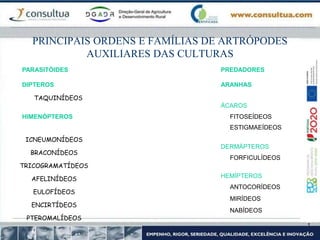 PARASITÓIDES
DIPTEROS
PREDADORES
ARANHAS
TAQUINÍDEOS
ÁCAROS
HIMENÓPTEROS FITOSEÍDEOS
ESTIGMAEÍDEOS
DERMÁPTEROS
FORFICULÍDEOS
HEMÍPTEROS
ANTOCORÍDEOS
MIRÍDEOS
NABÍDEOS
ICNEUMONÍDEOS
BRACONÍDEOS
TRICOGRAMATÍDEOS
AFELINÍDEOS
EULOFÍDEOS
ENCIRTÍDEOS
PTEROMALÍDEOS
PRINCIPAIS ORDENS E FAMÍLIAS DE ARTRÓPODES
AUXILIARES DAS CULTURAS
 