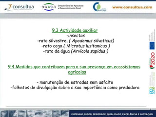 9.3 Actividade auxiliar
-insectos
-rato silvestre, ( Apodemus silvaticus)
-rato cego ( Microtus lusitanicus )
-rato da água (Arvícola sapidus )
9.4 Medidas que contribuem para a sua presença em ecossistemas
agrícolas
- manutenção de estradas sem asfalto
-folhetos de divulgação sobre a sua importância como predadora
 