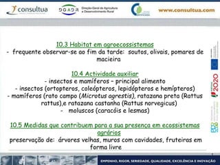 10.3 Habitat em agroecossistemas
- frequente observar-se ao fim da tarde: soutos, olivais, pomares de
macieira
10.4 Actividade auxiliar
- insectos e mamíferos – principal alimento
- insectos (ortopteros, coleópteros, lepidópteros e hemípteros)
- mamíferos (rato campo (Microtus agrestis), ratazana preta (Rattus
rattus),e ratazana castanha (Rattus norvegicus)
- moluscos (caracóis e lesmas)
10.5 Medidas que contribuem para a sua presença em ecossistemas
agrários
preservação de: árvores velhas, muros com cavidades, fruteiras em
forma livre
 