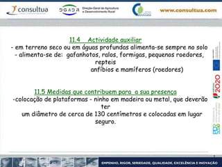 11.4 Actividade auxiliar
- em terreno seco ou em águas profundas alimenta-se sempre no solo
- alimenta-se de: gafanhotos, ralos, formigas, pequenos roedores,
repteis
anfíbios e mamíferos (roedores)
11.5 Medidas que contribuem para a sua presença
-colocação de plataformas - ninho em madeira ou metal, que deverão
ter
um diâmetro de cerca de 130 centímetros e colocadas em lugar
seguro.
 