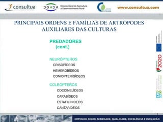 PRINCIPAIS ORDENS E FAMÍLIAS DE ARTRÓPODES
AUXILIARES DAS CULTURAS
PREDADORES
(cont.)
NEURÓPTEROS
CRISOPÍDEOS
HEMEROBÍDEOS
CONIOPTERIGÍDEOS
COLEÓPTEROS
COCCINELÍDEOS
CARABÍDEOS
ESTAFILÍNIDEOS
CANTARÍDEOS
 