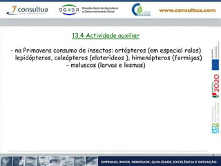 13.4 Actividade auxiliar
- na Primavera consumo de insectos: ortópteros (em especial ralos)
lepidópteros, coleópteros (elaterídeos ), himenópteros (formigas)
- moluscos (larvas e lesmas)
 