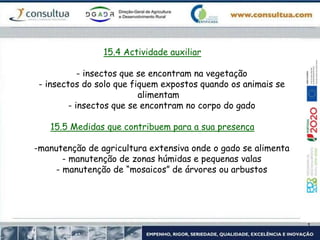 15.4 Actividade auxiliar
- insectos que se encontram na vegetação
- insectos do solo que fiquem expostos quando os animais se
alimentam
- insectos que se encontram no corpo do gado
15.5 Medidas que contribuem para a sua presença
-manutenção de agricultura extensiva onde o gado se alimenta
- manutenção de zonas húmidas e pequenas valas
- manutenção de “mosaicos” de árvores ou arbustos
 
