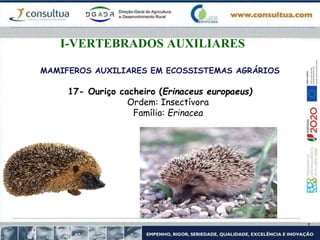MAMIFEROS AUXILIARES EM ECOSSISTEMAS AGRÁRIOS
17- Ouriço cacheiro (Erinaceus europaeus)
Ordem: Insectívora
Família: Erinacea
I-VERTEBRADOS AUXILIARES
 