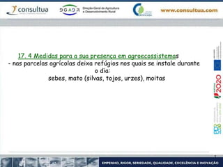 17. 4 Medidas para a sua presença em agroecossistemas
- nas parcelas agrícolas deixa refúgios nos quais se instale durante
o dia:
sebes, mato (silvas, tojos, urzes), moitas
 