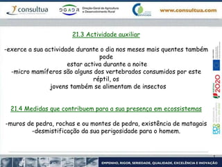 21.3 Actividade auxiliar
-exerce a sua actividade durante o dia nos meses mais quentes também
pode
estar activa durante a noite
-micro mamíferos são alguns dos vertebrados consumidos por este
réptil, os
jovens também se alimentam de insectos
21.4 Medidas que contribuem para a sua presença em ecossistemas
-muros de pedra, rochas e ou montes de pedra, existência de matagais
-desmistificação da sua perigosidade para o homem.
 