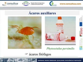 Phytoseiulus persimilis
 ácaros fitófagos
Ácaros auxiliares
 