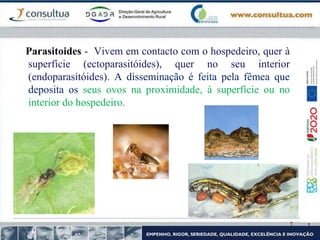 7
• Parasitoides - Vivem em contacto com o hospedeiro, quer à
superfície (ectoparasitóides), quer no seu interior
(endoparasitóides). A disseminação é feita pela fêmea que
deposita os seus ovos na proximidade, à superfície ou no
interior do hospedeiro.
 