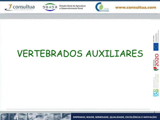 VERTEBRADOS AUXILIARES
 