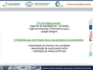 1.4 Actividade auxiliar
- lagartas de lepidópteros – bichados
- lagartas mineiras ( lithocoletis s.p.p )
- pulgão lanígero
1.5 Medidas que contribuem para a sua presença em ecossistema
- manutenção de árvores com cavidades
- manutenção de muros pedra solta
- instalação de ninhos artificiais
 