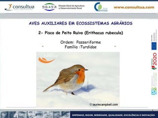 AVES AUXILIARES EM ECOSSISTEMAS AGRÁRIOS
2- Pisco de Peito Ruivo (Erithacus rubecula)
Ordem: Passeriforme
Família :Turdidae
 