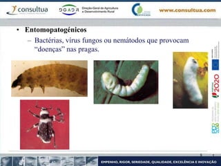 8
• Entomopatogénicos
– Bactérias, vírus fungos ou nemátodos que provocam
“doenças” nas pragas.
 