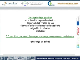 3.4 Actividade auxiliar
- cochonilha negra da oliveira
- lagartas das traças da uva
- larvas e adultos da mosca da azeitona
- algodão da oliveira
- moluscos
3.5 medidas que contribuem para a sua presença nos ecossistemas
-presença de sebes
 