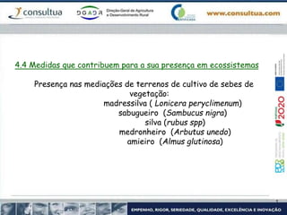 4.4 Medidas que contribuem para a sua presença em ecossistemas
Presença nas mediações de terrenos de cultivo de sebes de
vegetação:
madressilva ( Lonicera peryclimenum)
sabugueiro (Sambucus nigra)
silva (rubus spp)
medronheiro (Arbutus unedo)
amieiro (Almus glutinosa)
 