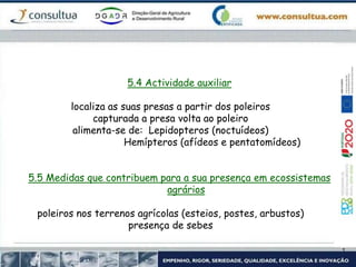 5.4 Actividade auxiliar
localiza as suas presas a partir dos poleiros
capturada a presa volta ao poleiro
alimenta-se de: Lepidopteros (noctuídeos)
Hemípteros (afídeos e pentatomídeos)
5.5 Medidas que contribuem para a sua presença em ecossistemas
agrários
poleiros nos terrenos agrícolas (esteios, postes, arbustos)
presença de sebes
 