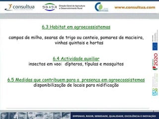 6.3 Habitat em agroecossistemas
campos de milho, searas de trigo ou centeio, pomares de macieira,
vinhas quintais e hortas
6.4 Actividade auxiliar
insectos em voo: dípteros, típulas e mosquitos
6.5 Medidas que contribuem para a presença em agroecossistemas
disponibilização de locais para nidificação
 