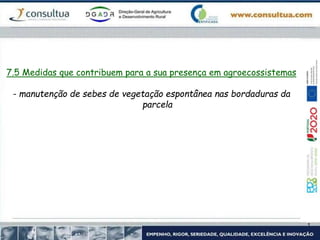 7.5 Medidas que contribuem para a sua presença em agroecossistemas
- manutenção de sebes de vegetação espontânea nas bordaduras da
parcela
 