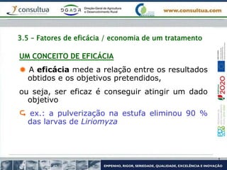 3.5 – Fatores de eficácia / economia de um tratamento
UM CONCEITO DE EFICÁCIA
 A eficácia mede a relação entre os resultados
obtidos e os objetivos pretendidos,
ou seja, ser eficaz é conseguir atingir um dado
objetivo
 ex.: a pulverização na estufa eliminou 90 %
das larvas de Liriomyza
 