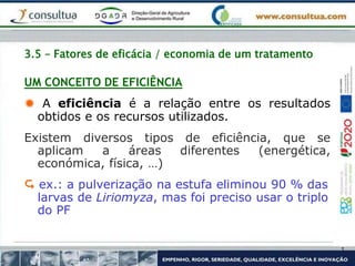 3.5 – Fatores de eficácia / economia de um tratamento
UM CONCEITO DE EFICIÊNCIA
 A eficiência é a relação entre os resultados
obtidos e os recursos utilizados.
Existem diversos tipos de eficiência, que se
aplicam a áreas diferentes (energética,
económica, física, …)
 ex.: a pulverização na estufa eliminou 90 % das
larvas de Liriomyza, mas foi preciso usar o triplo
do PF
 