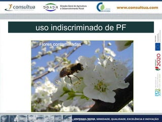 http://novaenergia.net/forum/viewtopic.php?f=29&t=2874
Flores contaminadas
uso indiscriminado de PF
 