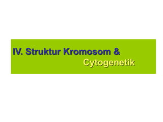 IV. Struktur Kromosom &
Cytogenetik
 